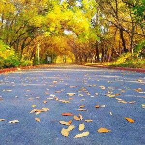 Meet your Posher, Maivanthanhngan